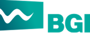 логотип Балтик Гроуп Интернешнл Калининград