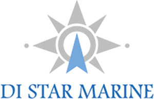 логотип Ди Стар Марин
