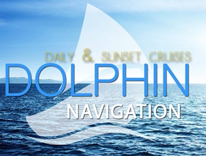 Долфин Навигейшн логотип