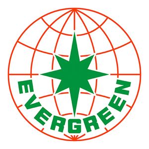 Евергрін Шиппінг Ейдженсі (Рашіа) Лімітед логотип