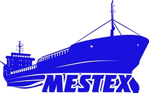 Местекс Навигейшен логотип