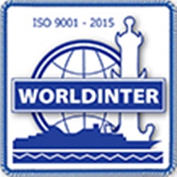 логотип Волдинтер